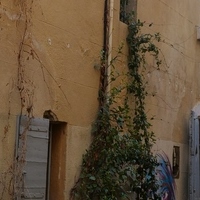 Photo de France - Marseille - le quartier du Panier